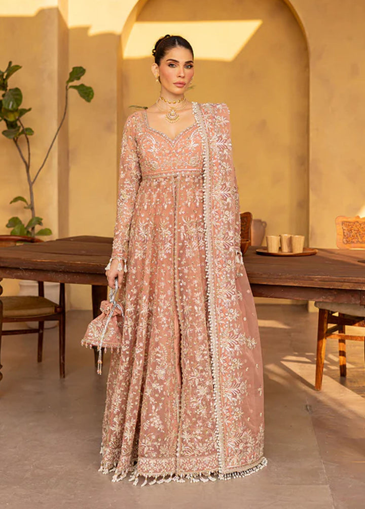 Regalia by Emaan Adeel Embroidered Organza Suits Unstitched 3 Piece EA25RL Mistral - Formals Collection