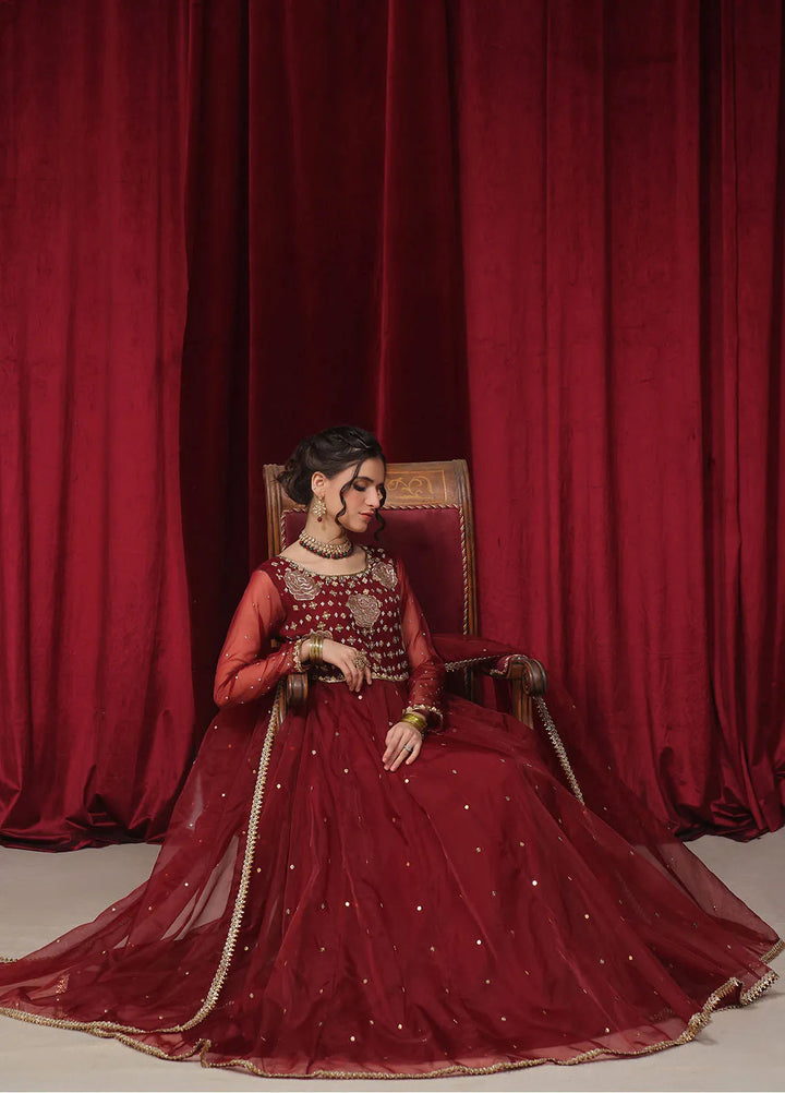 Rehan N Muzammil Pret Embroidered Organza 2 Piece Suit Anabiya