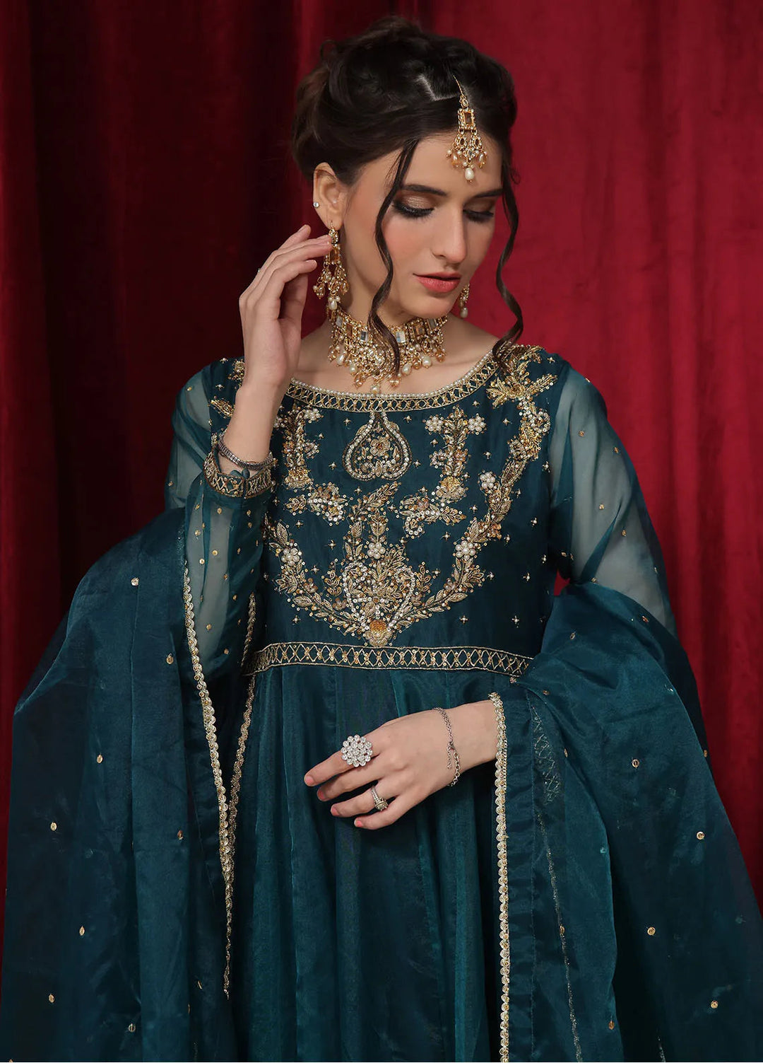 Rehan N Muzammil Pret Embroidered Organza 2 Piece Suit Bloom