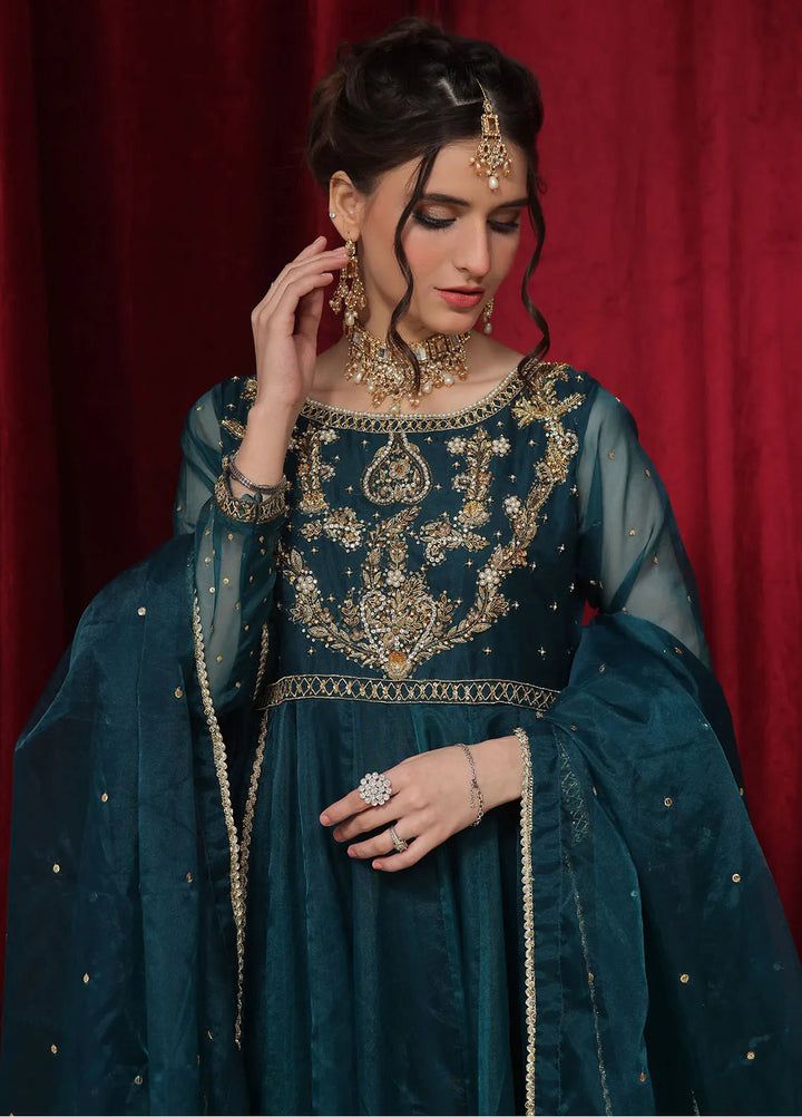 Rehan N Muzammil Pret Embroidered Organza 2 Piece Suit Bloom