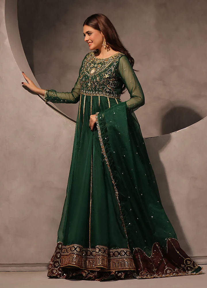 Rehan N Muzammil Pret Embroidered Organza 2 Piece Suit Mastani