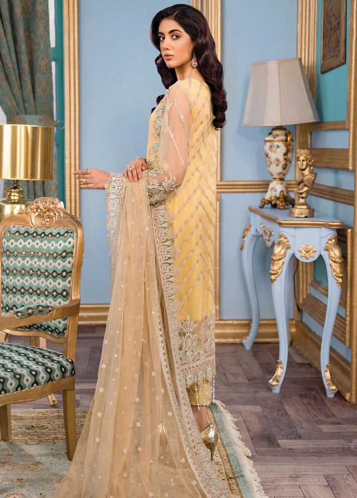 Reign Embroidered Net Suits Unstitched 3 Piece RGN22TF RN-04 REGINE - Formals Collection