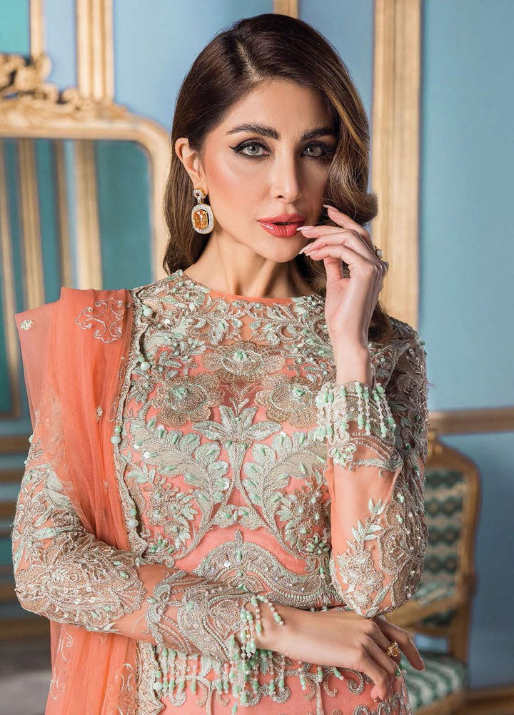 Reign Embroidered Net Suits Unstitched 3 Piece RGN22TF RN-09 SOPHIE - Formals Collection