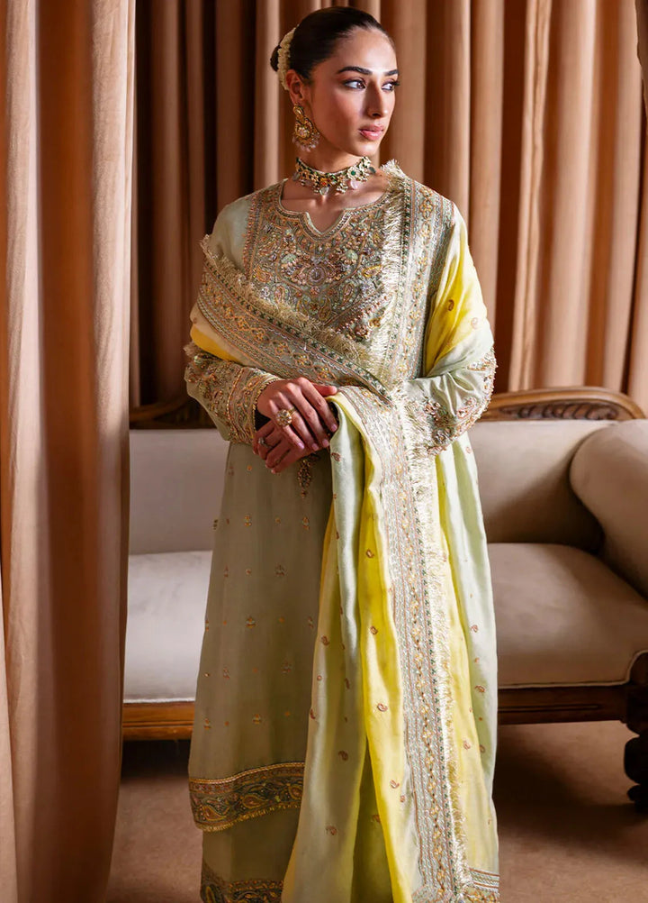 Rema by Faiza Faisal Embroidered Cotton Net Suits Unstitched 3 Piece FFX24R Sehr - Formals Collection