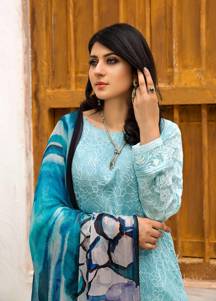 Resham Ghar Embroidered Chiffon Suits Unstitched 2 Piece RG21EC RGSD-01 - Luxury Collection