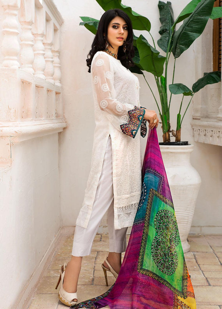 Resham Ghar Embroidered Chiffon Suits Unstitched 2 Piece RG21EC RGSD-02 - Luxury Collection