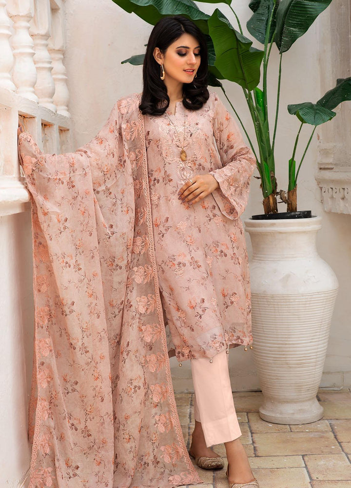 Resham Ghar Embroidered Chiffon Suits Unstitched 2 Piece RG21EC RGSD-06 - Luxury Collection