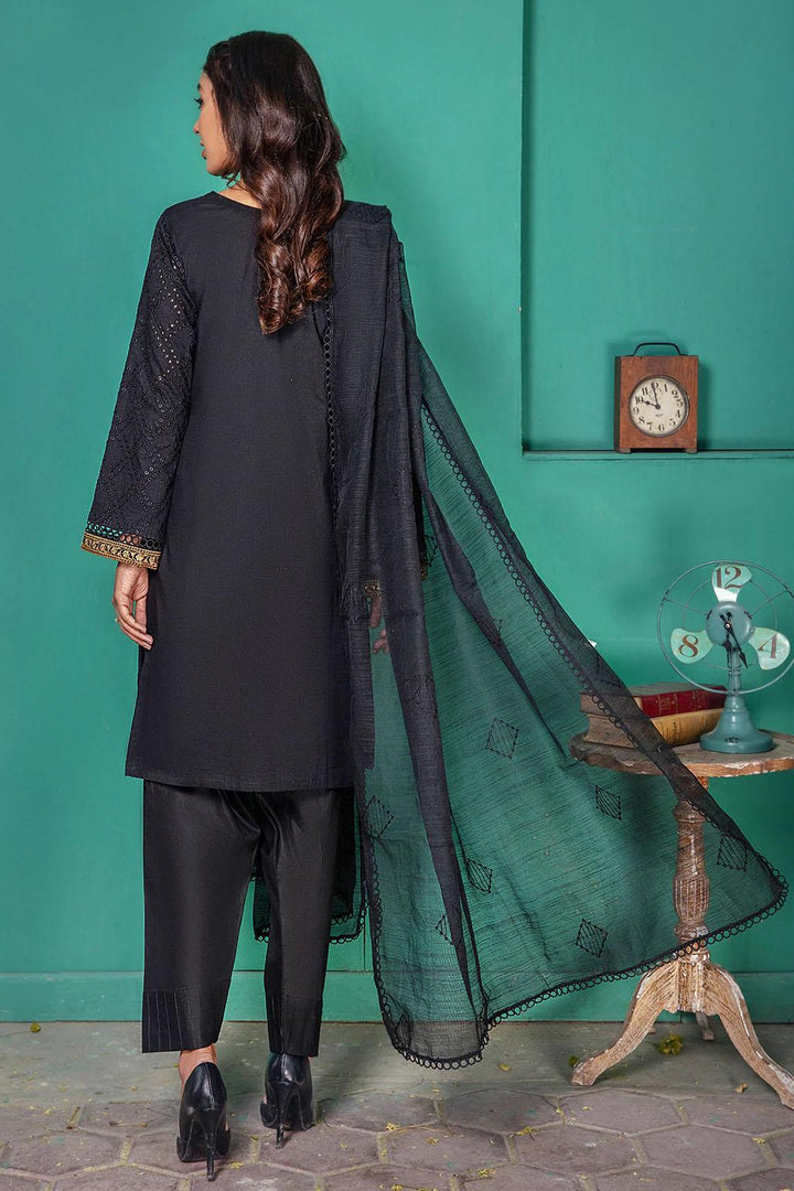 Resham Ghar Embroidered Lawn Suits Unstitched 2 Piece RG22U BRL-04 SOOT CHIKAN - Festive Collection