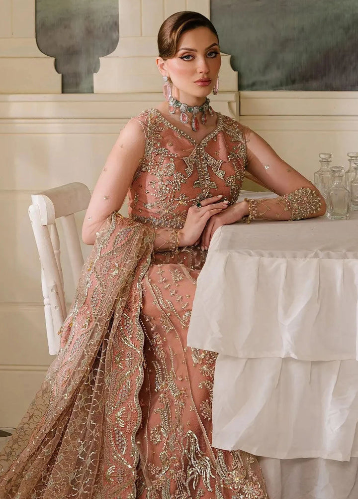 Reve Royal by Fabiha Fatima Pret Embellished Net 3 Piece Suit Spinel