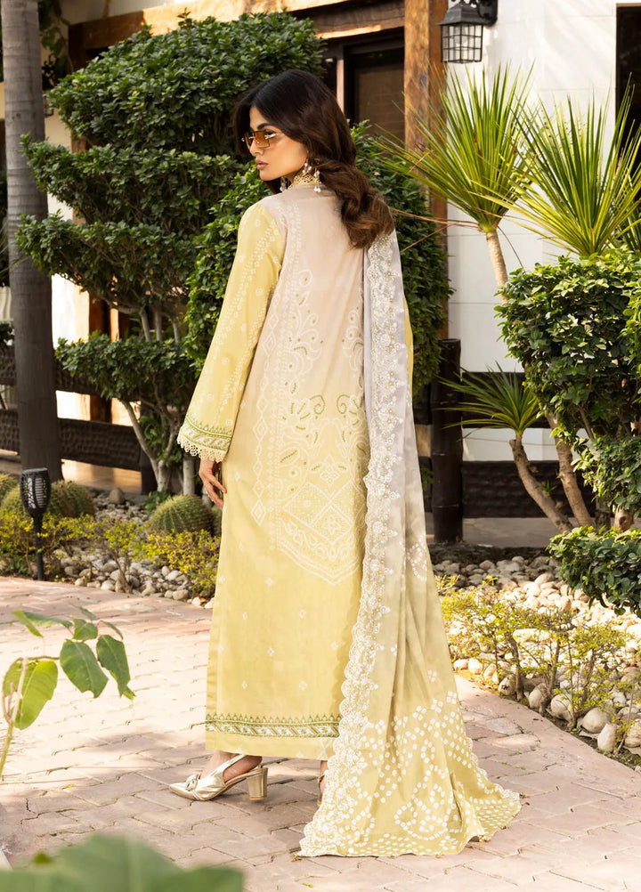 Riaz Arts Embroidered Lawn Suit Unstitched 3 Piece RA25CL AF-199 - Summer Collection