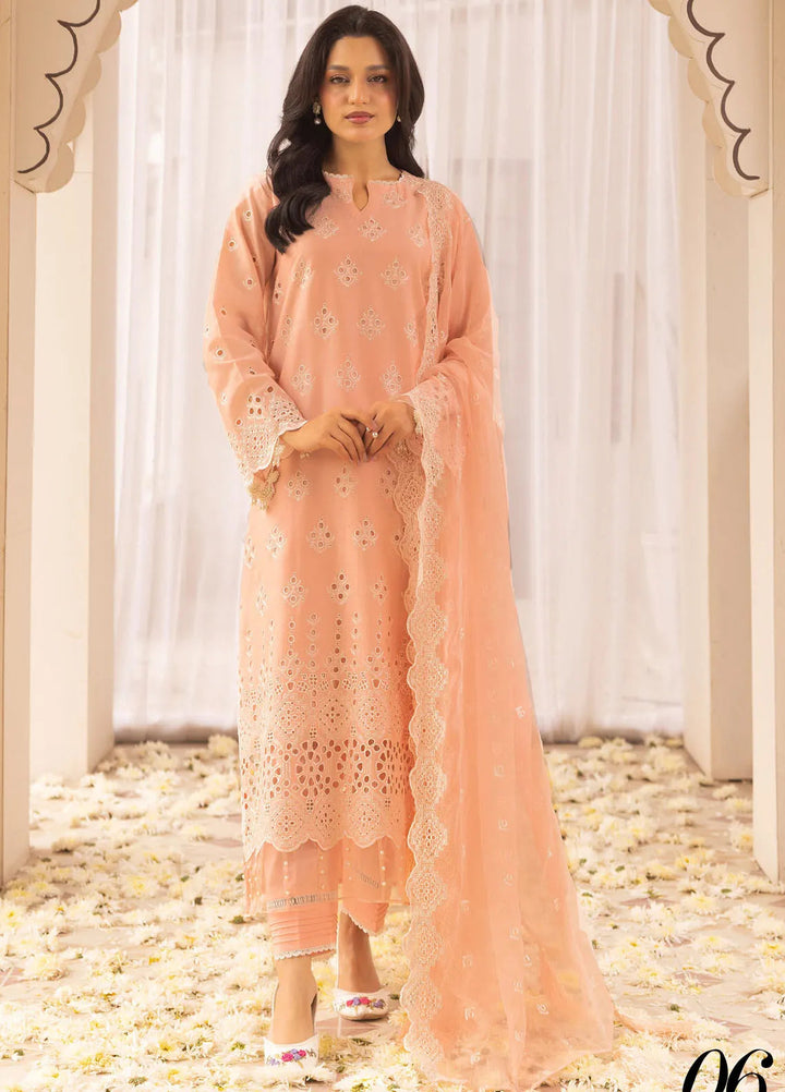 Riaz Arts Embroidered Lawn Suit Unstitched 3 Piece RA25MA D-06 - Summer Collection