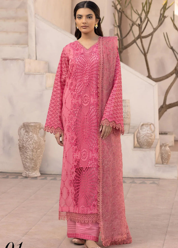 Riaz Arts Embroidered Lawn Suit Unstitched 3 Piece RA25ME D-01 - Summer Collection