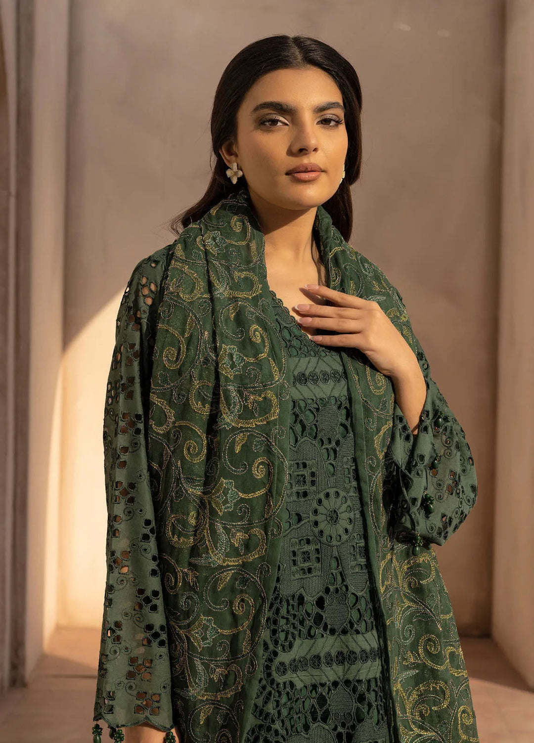 Riaz Arts Embroidered Lawn Suit Unstitched 3 Piece RA25ME D-02 - Summer Collection