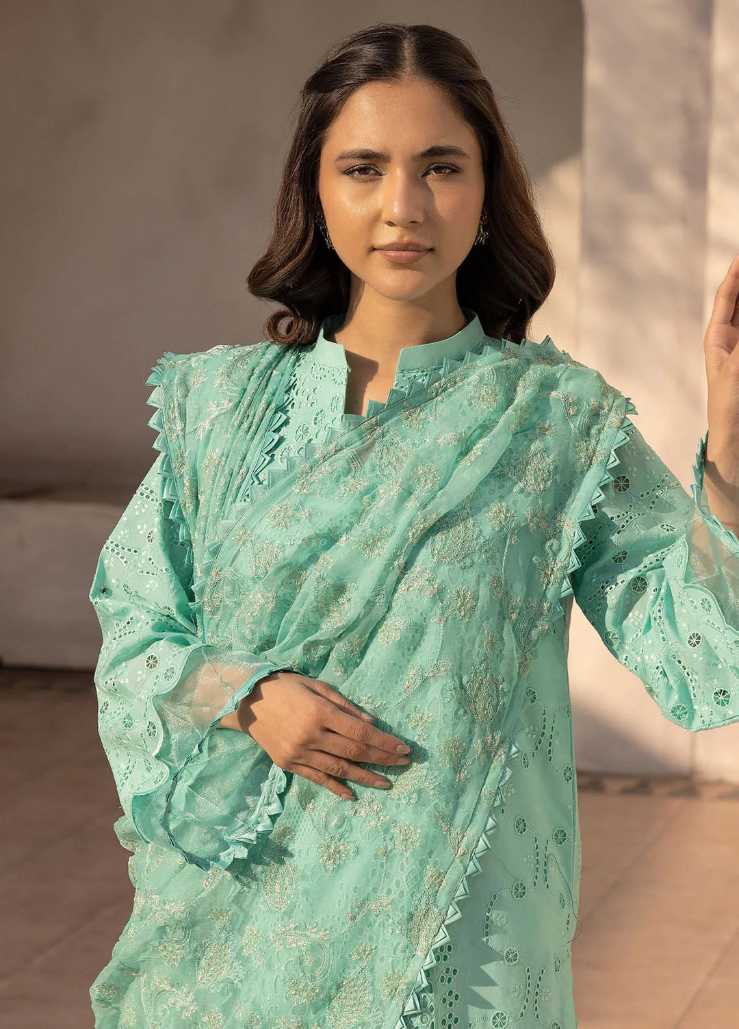 Riaz Arts Embroidered Lawn Suit Unstitched 3 Piece RA25ME D-05 - Summer Collection