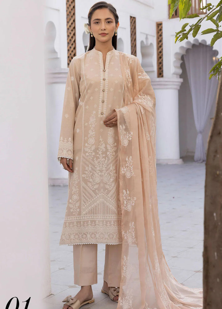 Riaz Arts Embroidered Lawn Suit Unstitched 3 Piece RA25ML D-01 - Summer Collection