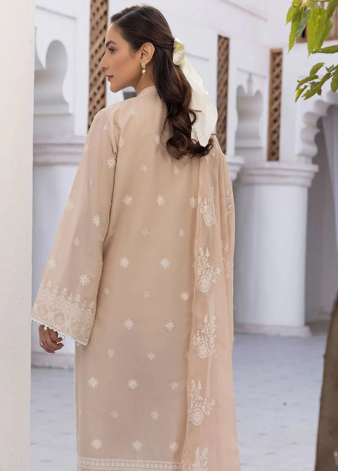 Riaz Arts Embroidered Lawn Suit Unstitched 3 Piece RA25ML D-01 - Summer Collection