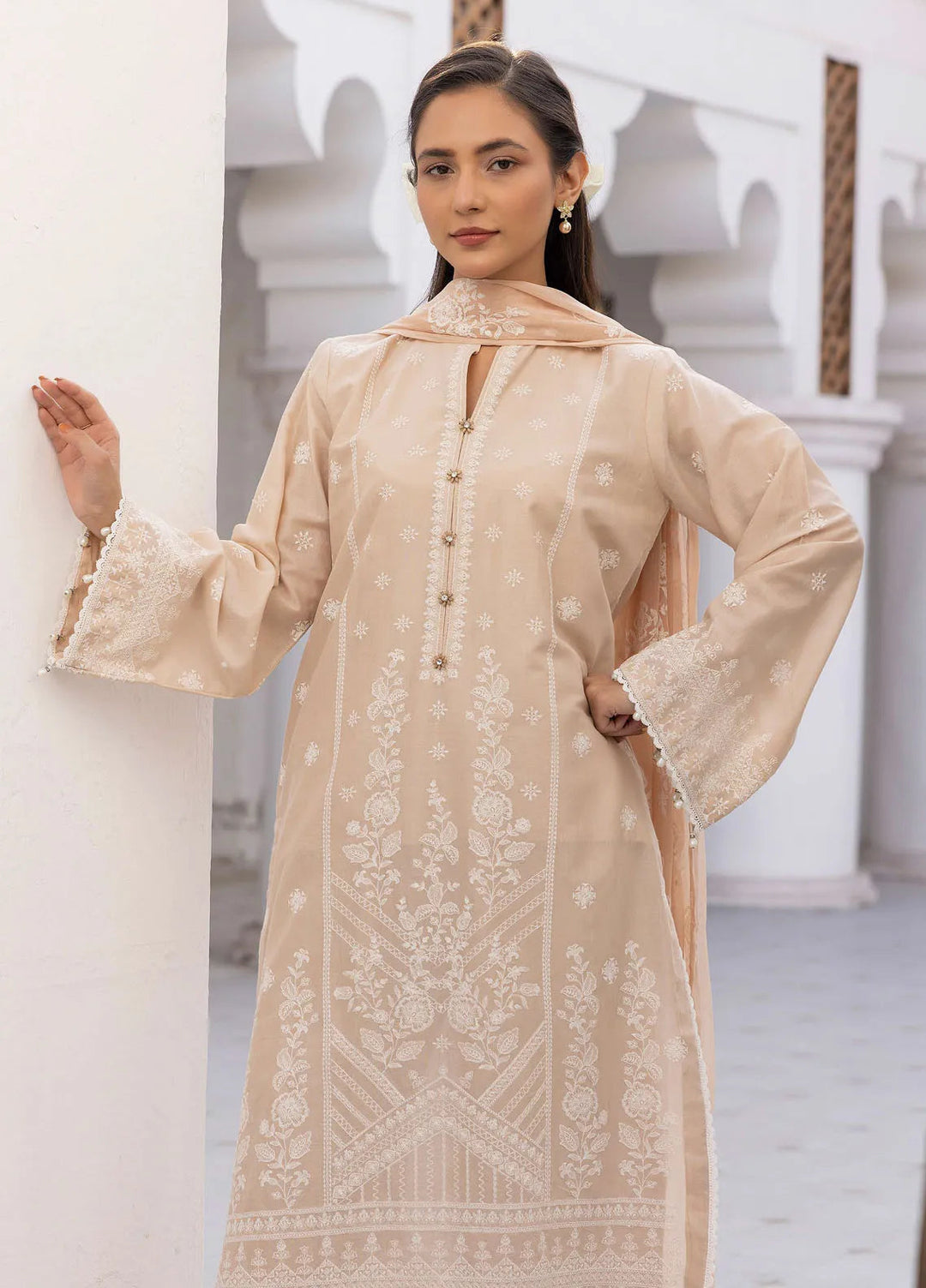 Riaz Arts Embroidered Lawn Suit Unstitched 3 Piece RA25ML D-01 - Summer Collection