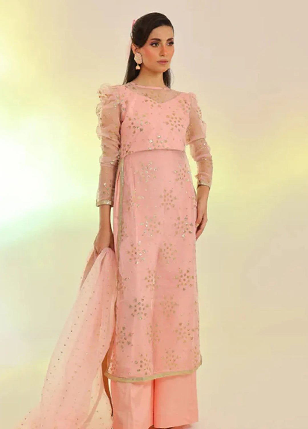 Ripret Pret Embroidered Organza 3 Piece Suit Parisbelle