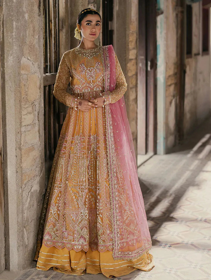 Roheenaz Embroidered Net Suits Unstitched 3 Piece RNZ24PSM Afreen - Wedding Collection