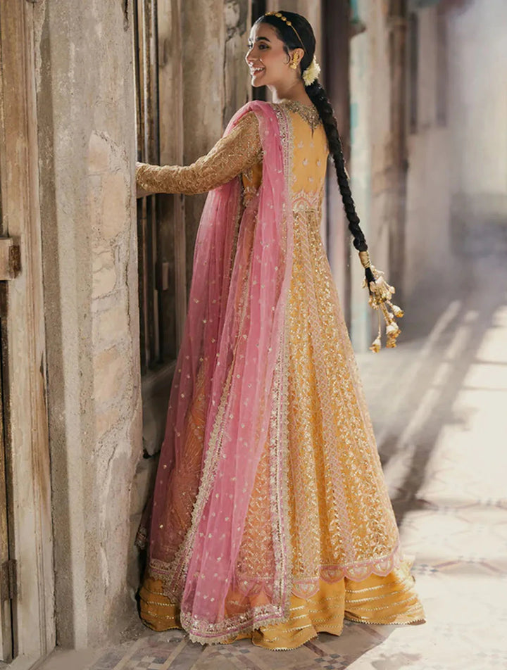 Roheenaz Embroidered Net Suits Unstitched 3 Piece RNZ24PSM Afreen - Wedding Collection