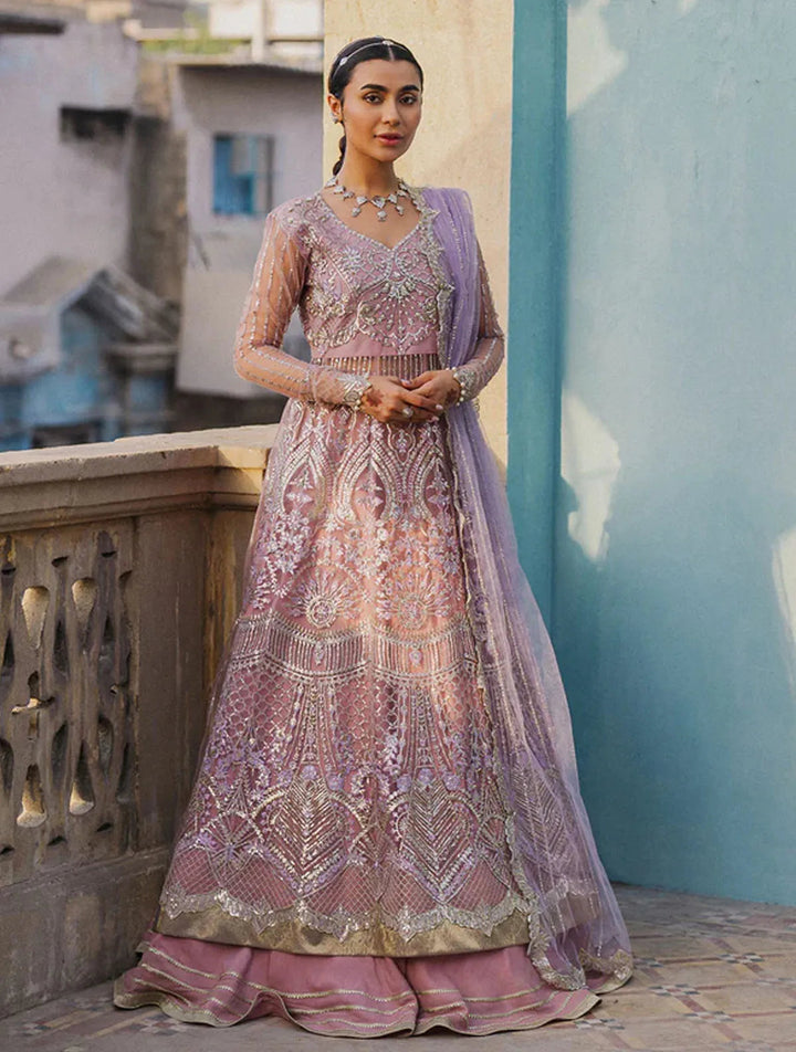 Roheenaz Embroidered Net Suits Unstitched 3 Piece RNZ24PSM Amyra - Wedding Collection