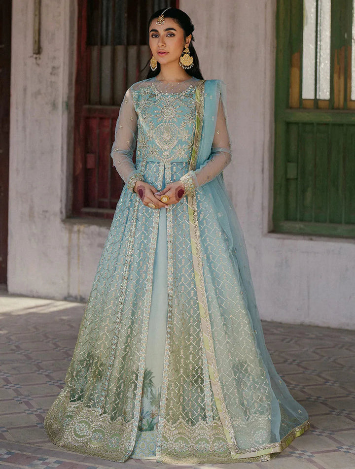Roheenaz Embroidered Net Suits Unstitched 3 Piece RNZ24PSM Saba - Wedding Collection
