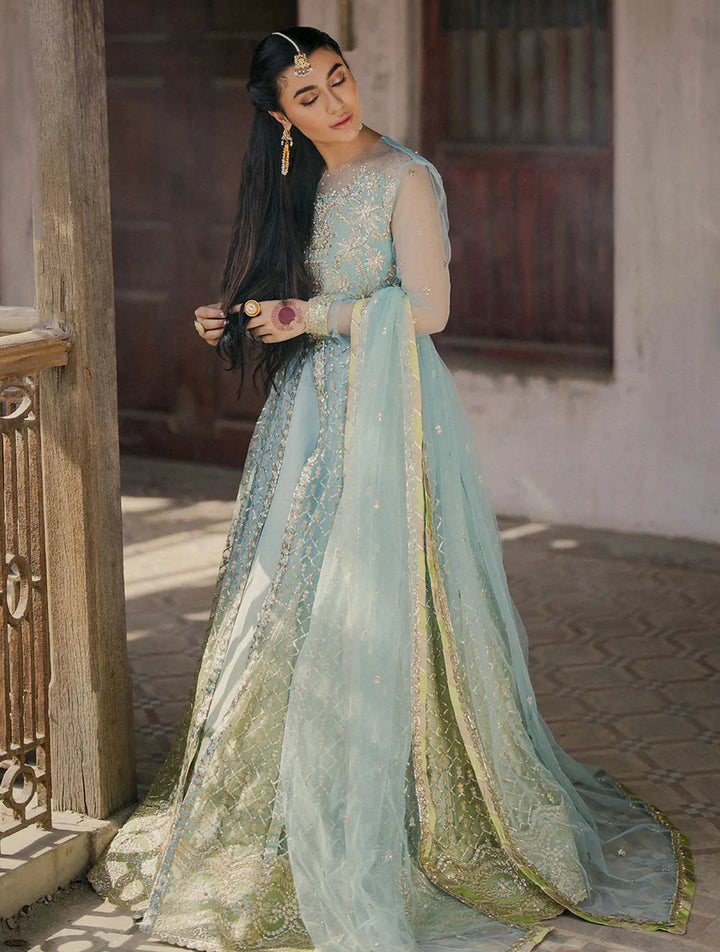 Roheenaz Embroidered Net Suits Unstitched 3 Piece RNZ24PSM Saba - Wedding Collection
