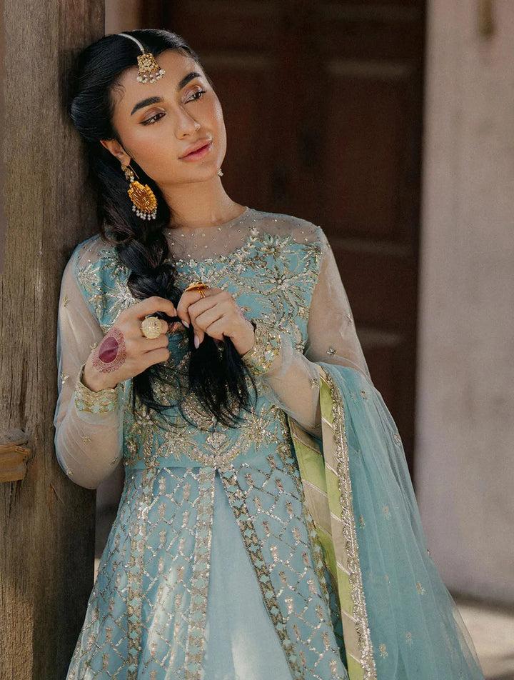 Roheenaz Embroidered Net Suits Unstitched 3 Piece RNZ24PSM Saba - Wedding Collection