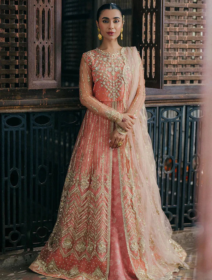 Roheenaz Embroidered Net Suits Unstitched 3 Piece RNZ24PSM Shafaq - Wedding Collection