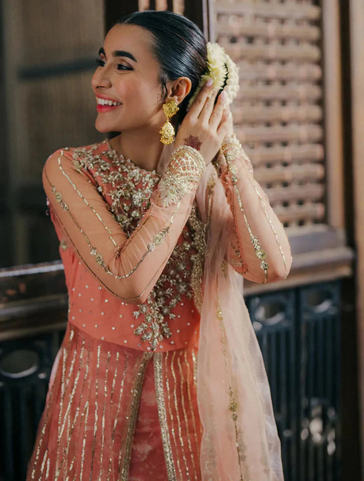 Roheenaz Embroidered Net Suits Unstitched 3 Piece RNZ24PSM Shafaq - Wedding Collection