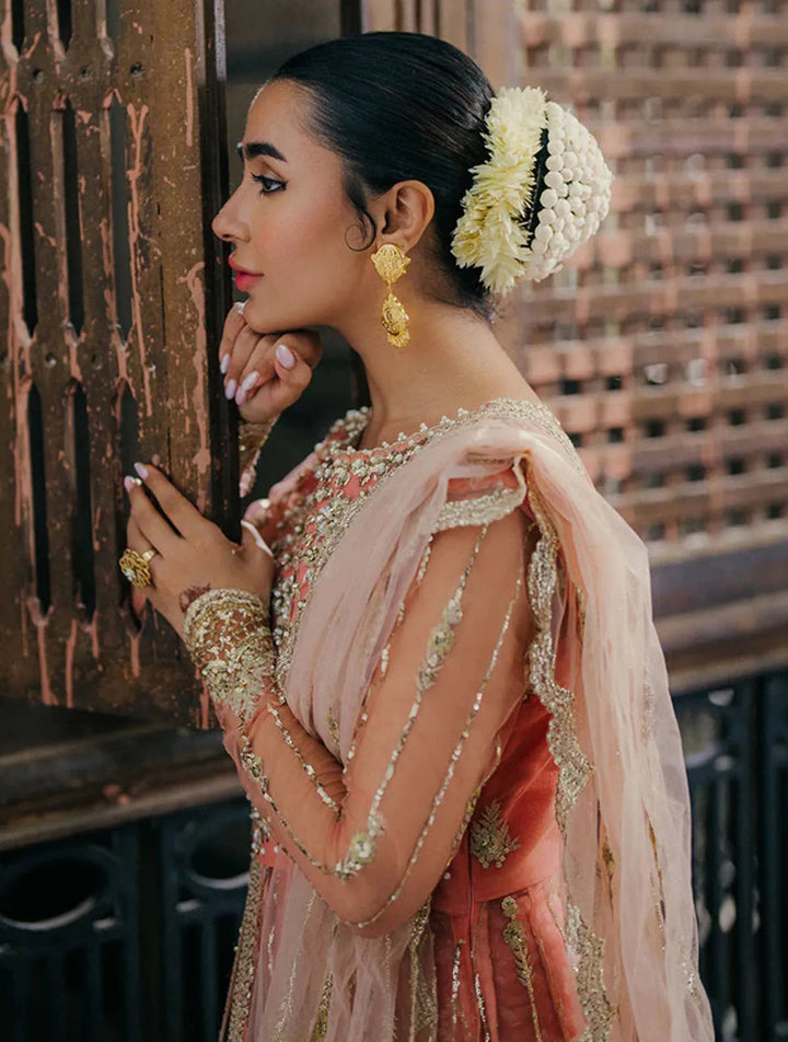 Roheenaz Embroidered Net Suits Unstitched 3 Piece RNZ24PSM Shafaq - Wedding Collection