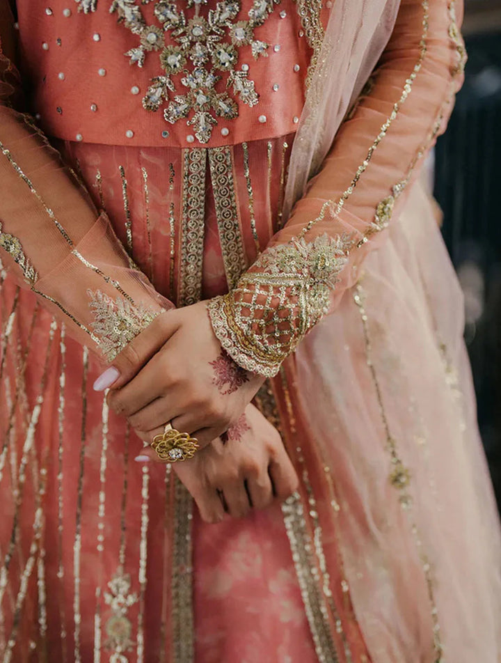 Roheenaz Embroidered Net Suits Unstitched 3 Piece RNZ24PSM Shafaq - Wedding Collection