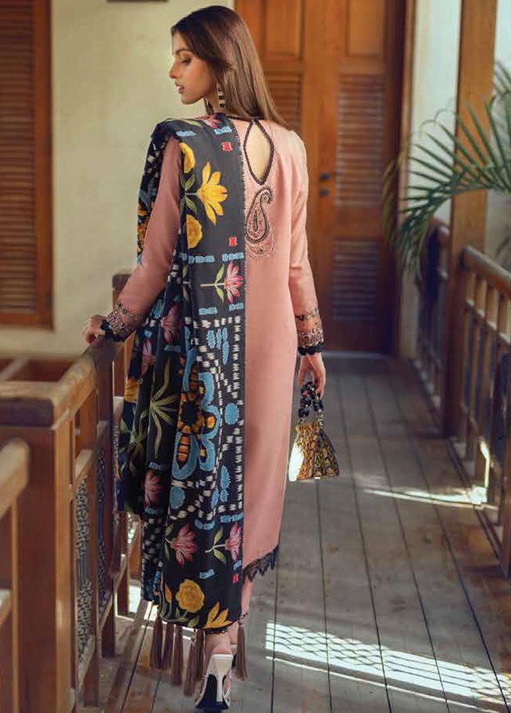 Roheenaz Embroidered Khaddar Suits Unstitched 3 Piece RO22FW RNZ-22-03-B - Luxury Collection