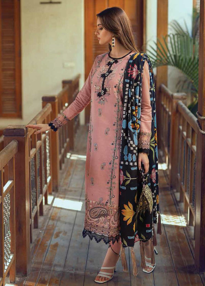 Roheenaz Embroidered Khaddar Suits Unstitched 3 Piece RO22FW RNZ-22-03-B - Luxury Collection