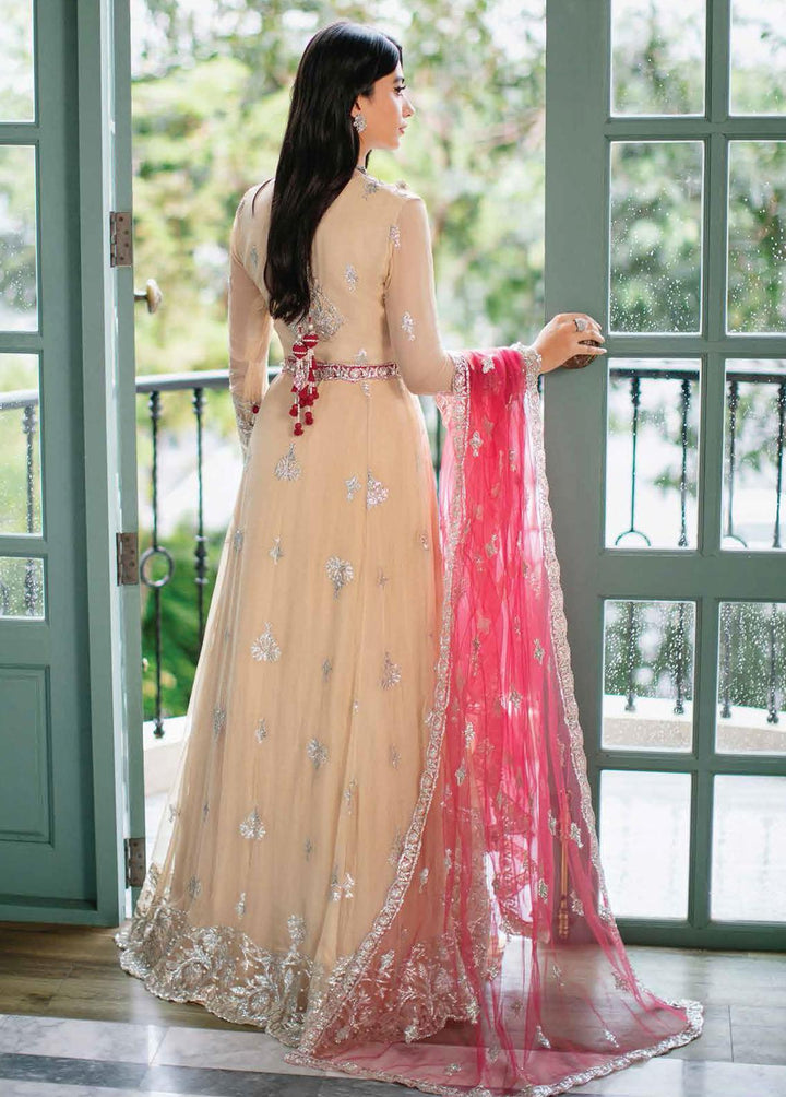 Aafreen By Roheenaz Embroidered Chiffon Suits Unstitched 4 Piece RO22KC RNZ22-01 Soraya - Luxury Collection