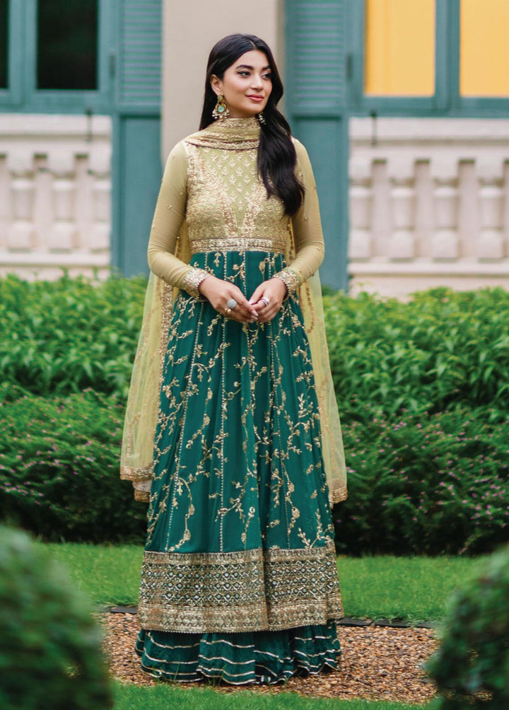 Aafreen By Roheenaz Embroidered Chiffon Suits Unstitched 4 Piece RO22KC RNZ22-02 Chandani - Luxury Collection