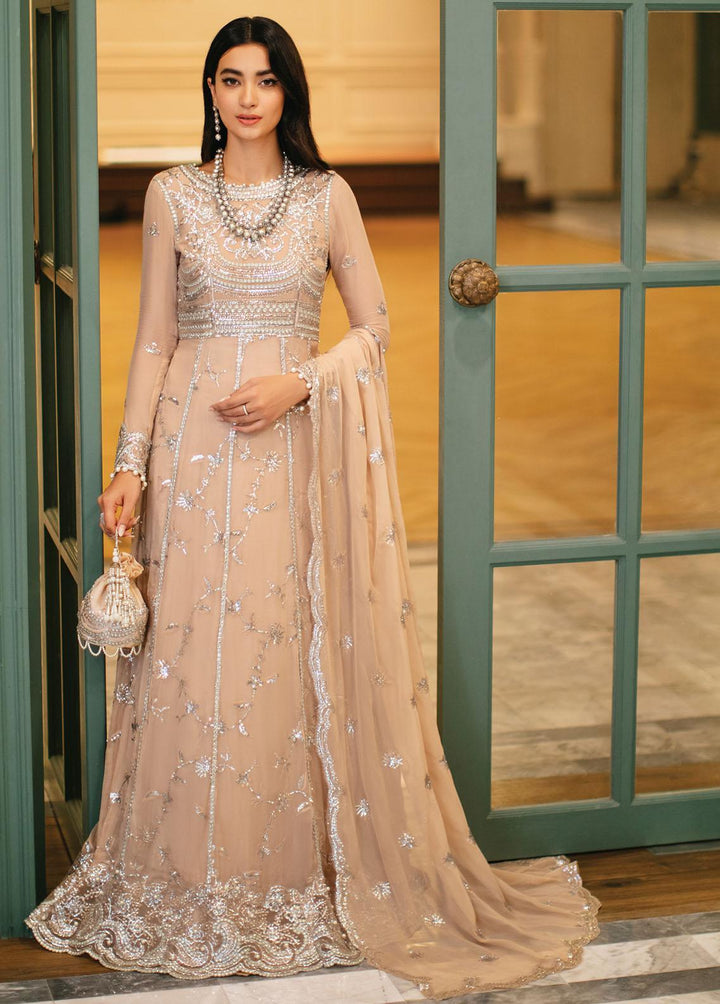 Aafreen By Roheenaz Embroidered Chiffon Suits Unstitched 4 Piece RO22KC RNZ22-05 Aleeya - Luxury Collection