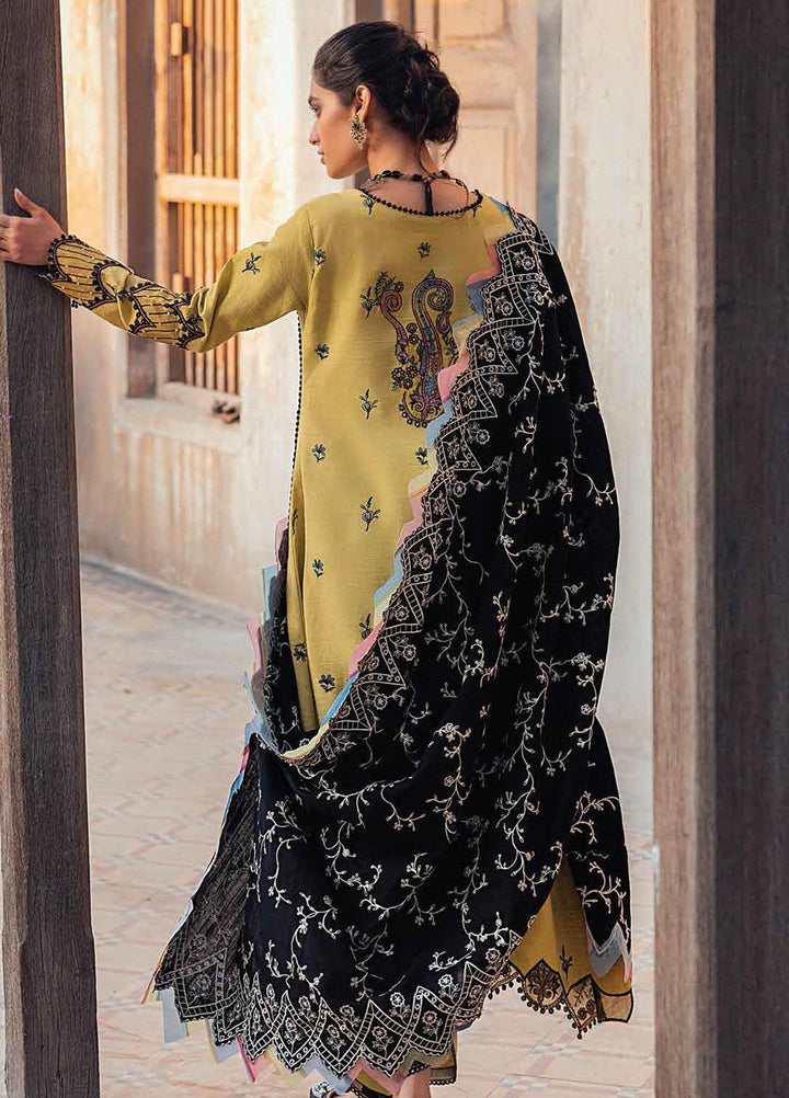 Roheenaz Embroidered Khaddar Suits Unstitched 3 Piece RO21WF RNW21-4B - Winter Collection