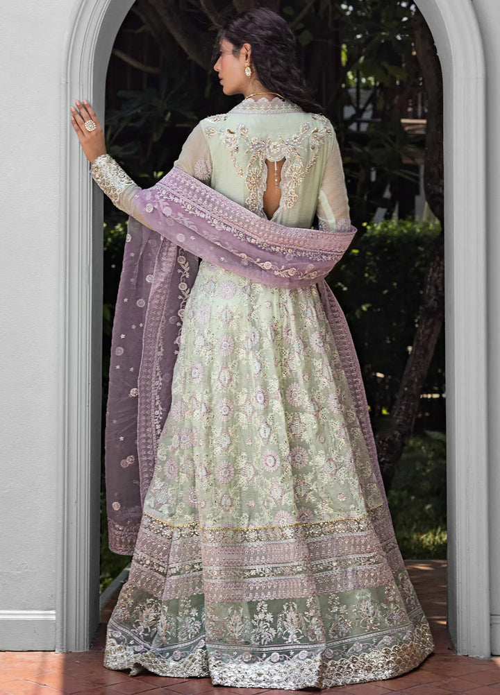 Roohi By Mushq Embroidered Organza Suit Unstitched 4 Piece MQ24R Aara - Luxury Collection