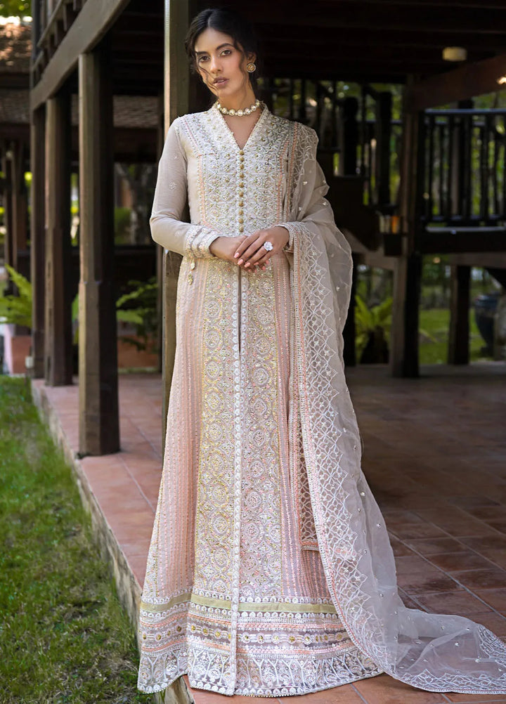 Roohi By Mushq Embroidered Organza Suit Unstitched 4 Piece MQ24R Anika - Luxury Collection
