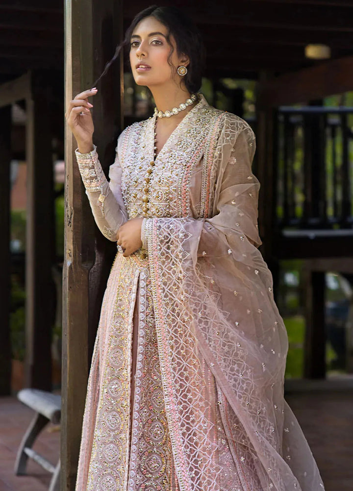 Roohi By Mushq Embroidered Organza Suit Unstitched 4 Piece MQ24R Anika - Luxury Collection