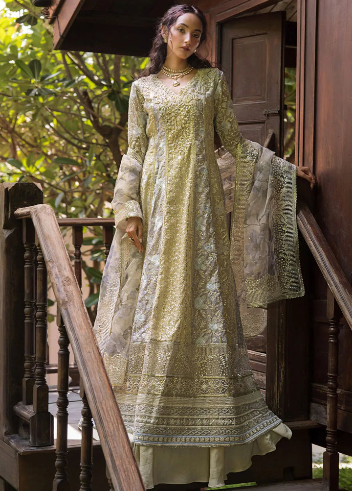 Roohi By Mushq Embroidered Organza Suit Unstitched 4 Piece MQ24R Riya - Luxury Collection