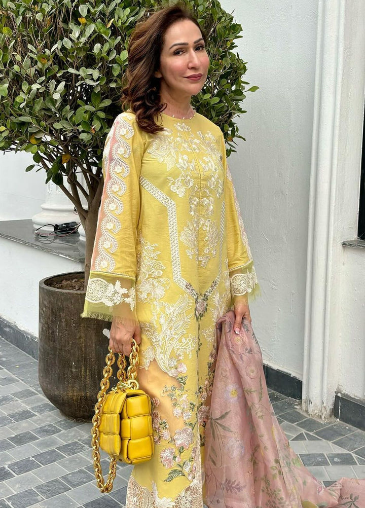 Rosemary And Ruffles By Asifa And Nabeel Embroidered Lawn Suit Unstitched 3 Piece AN24R RRL-08 Essence - Luxury Summer Collection