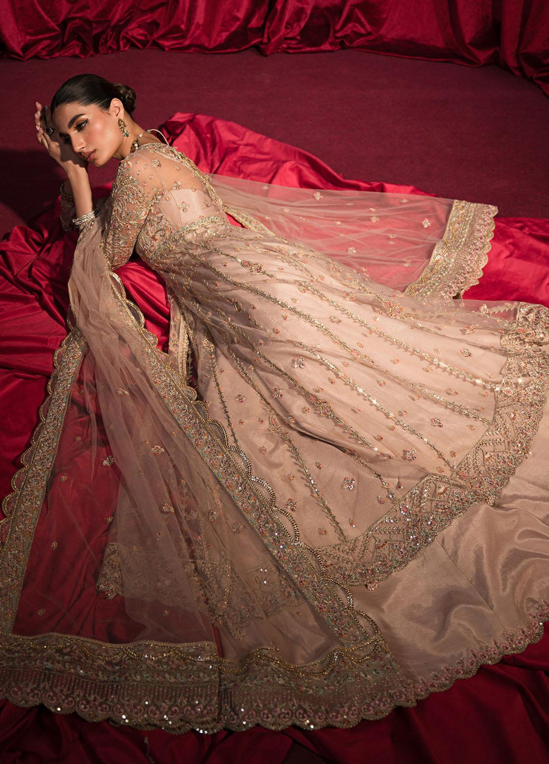 Roshnai By Shazme Embroidered Net Suits Unstitched 4 Piece SHZ23R SH 06 Inaya - Wedding Collection