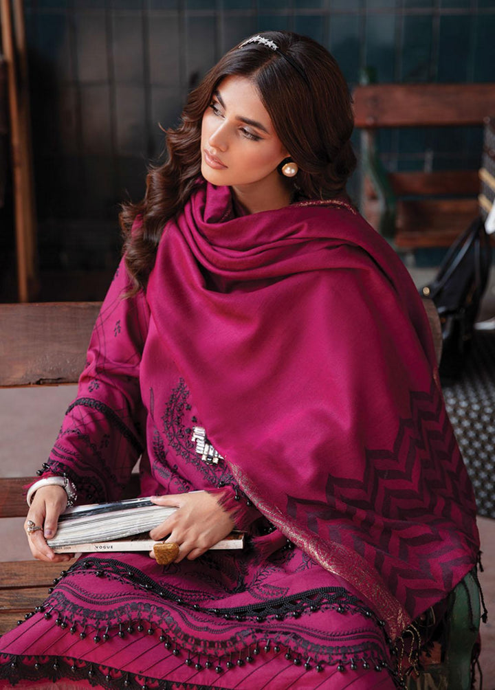 Safarnama By Rang Rasiya Embroidered Karandi Suits Unstitched 3 Piece RR22S 04 Sahar - Winter Collection