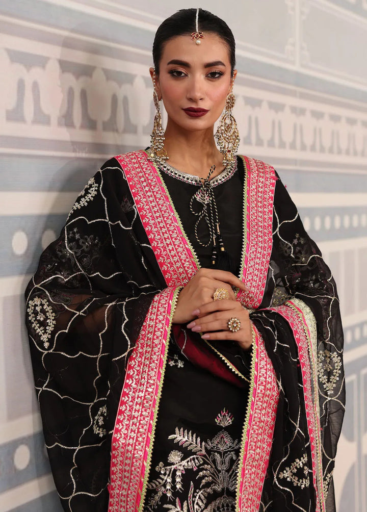 Sahane Embroidered Raw Silk Suits Unstitched 3 Piece SNE24TG TSG-01 Noir - Festive Collection