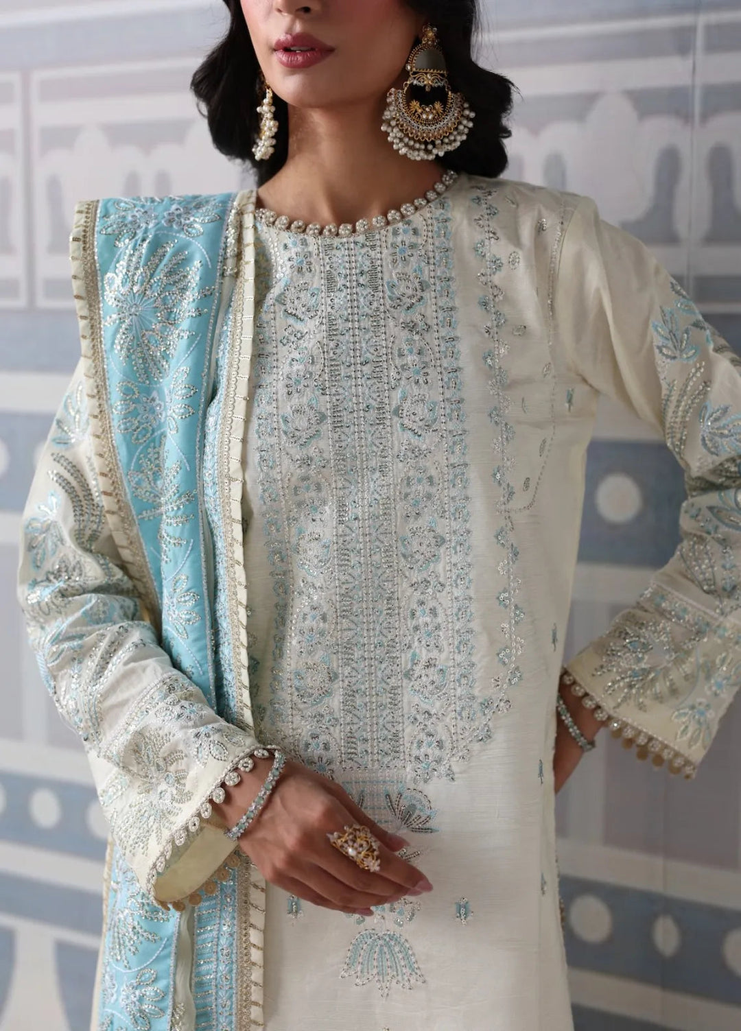 Sahane Embroidered Raw Silk Suits Unstitched 3 Piece SNE24TG TSG-03 Glow - Festive Collection