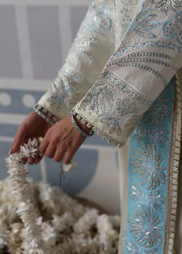 Sahane Embroidered Raw Silk Suits Unstitched 3 Piece SNE24TG TSG-03 Glow - Festive Collection