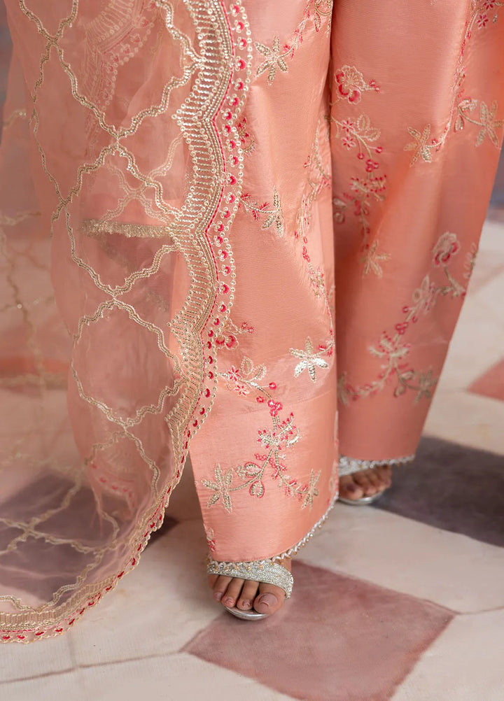 Sahane Embroidered Raw Silk Suits Unstitched 3 Piece SNE24TG TSG-06 Petal  - Festive Collection