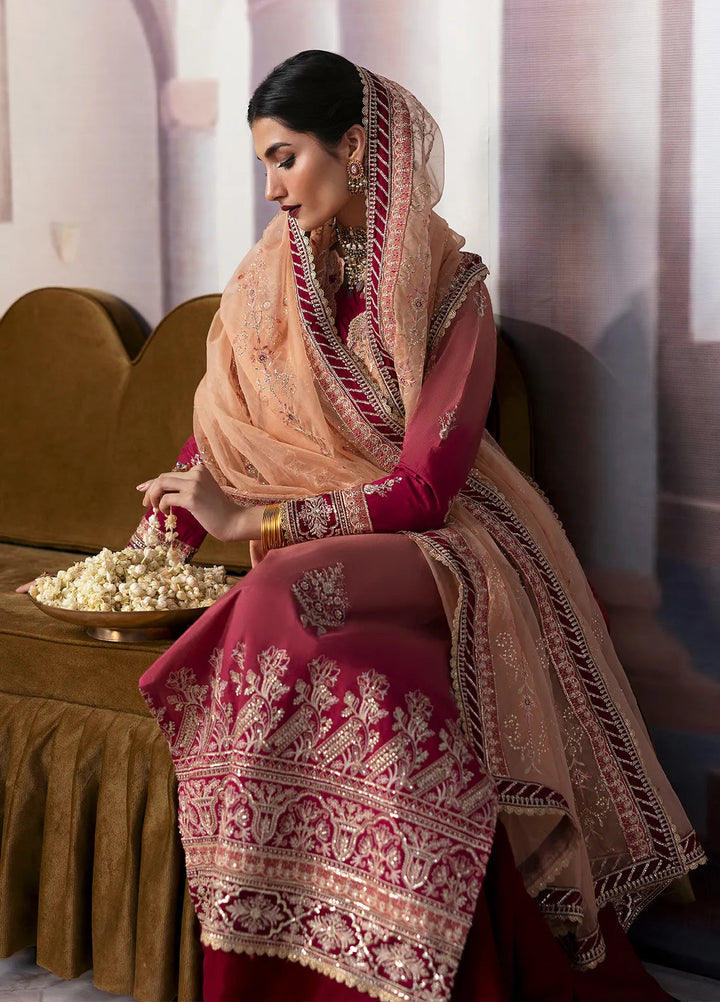 Sahane Embroidered Raw Silk Suits Unstitched 3 Piece SNE24TG TSG-08 Ember - Festive Collection